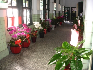 dsc00521