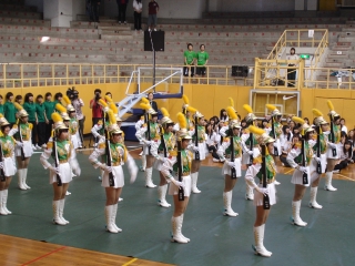dsc00531